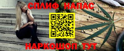 МДПВ Пугачёв